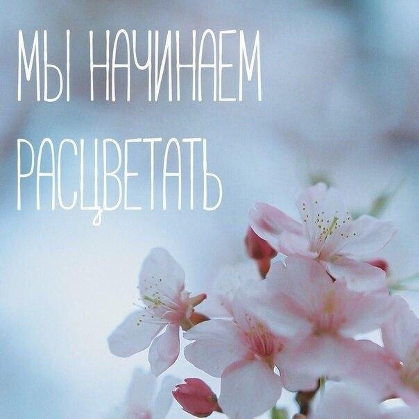 ☆ ☆ - 14  2023  00:34