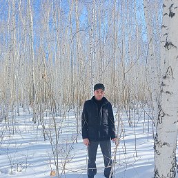 ������, ����, 46 ���