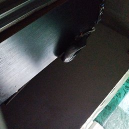 ���� ����, ������, 41 ��� - ��������� 11 ���� 2023