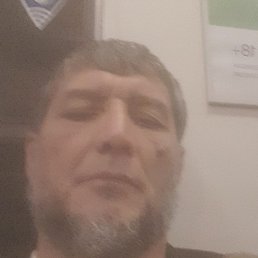 ������, ������, 41 ���