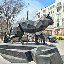  , , 41  -  6  2023    