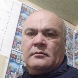 �����, ������, 54 ����