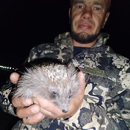 �������, ���������, 43 ����