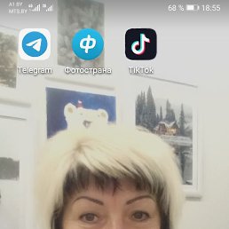 , 66, 