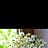 ���� Leyla, ����, 30 ��� - ��������� 17 ���� 2023