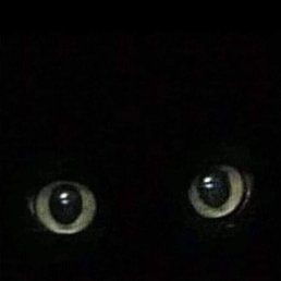 ���, ������, 38 ���