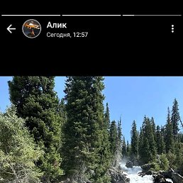 ���� �����, ������, 41 ��� - ��������� 14 ���� 2023