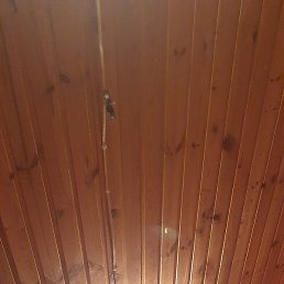 Sardor, ������, 40 ���