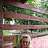  Nina, , 68  -  12  2023