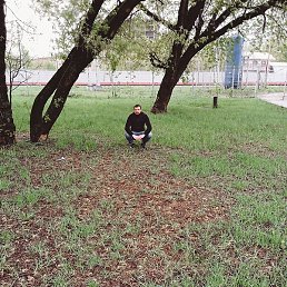 ���, ������, 37 ���