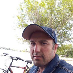 ������, �������, 40 ���