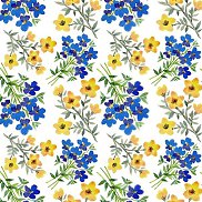 �����, 45 ���, ��������