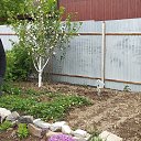 ���� �������, �����������, 61 ��� - ��������� 19 ��� 2023 � ������ ���� ����������