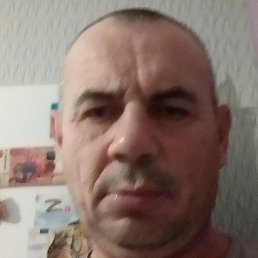 �������, ���������, 46 ���