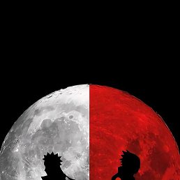 ����, ������, 24 ����