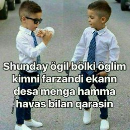 ��������, �������, 37 ���