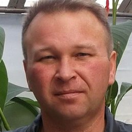 �������, ������, 49 ���