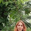 ���� ��������, �����, 41 ��� - ��������� 3 ���� 2023