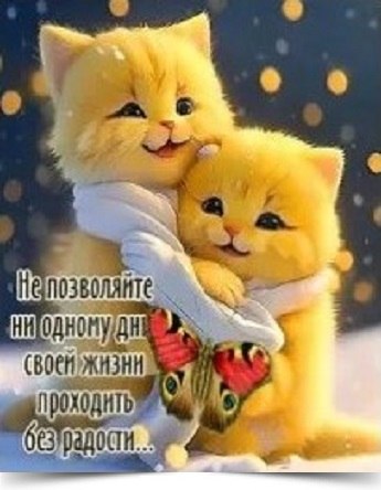 ~~~