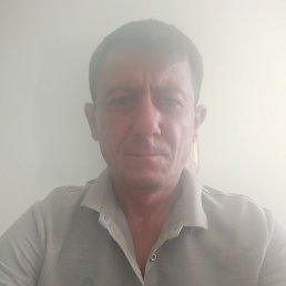 , , 46 