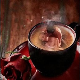 ���� ��, ������, 37 ��� - ��������� 8 ����� 2023