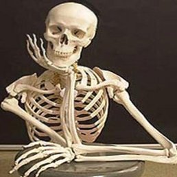 ��� �����, �����-���������, 21 ���