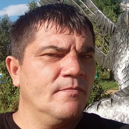 ����, �����������, 41 ���