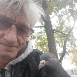 ��������, ������, 54 ����