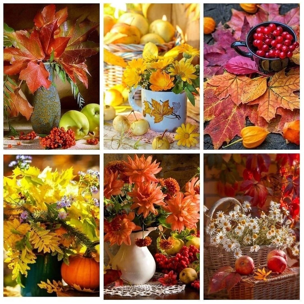   ,      ... __~__~__~__~__~__~__~__~__~__