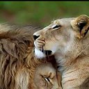 ���� �����, ������, 53 ���� - ��������� 5 �������� 2023