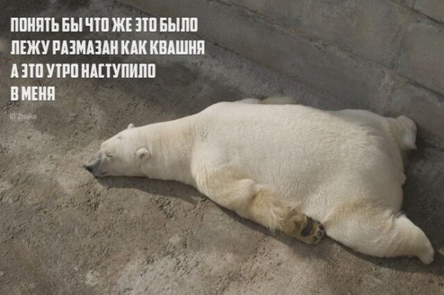 ***Victoria Viktorovna*** - 12  2023  01:08