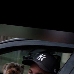 ���, �����-���������, 46 ���