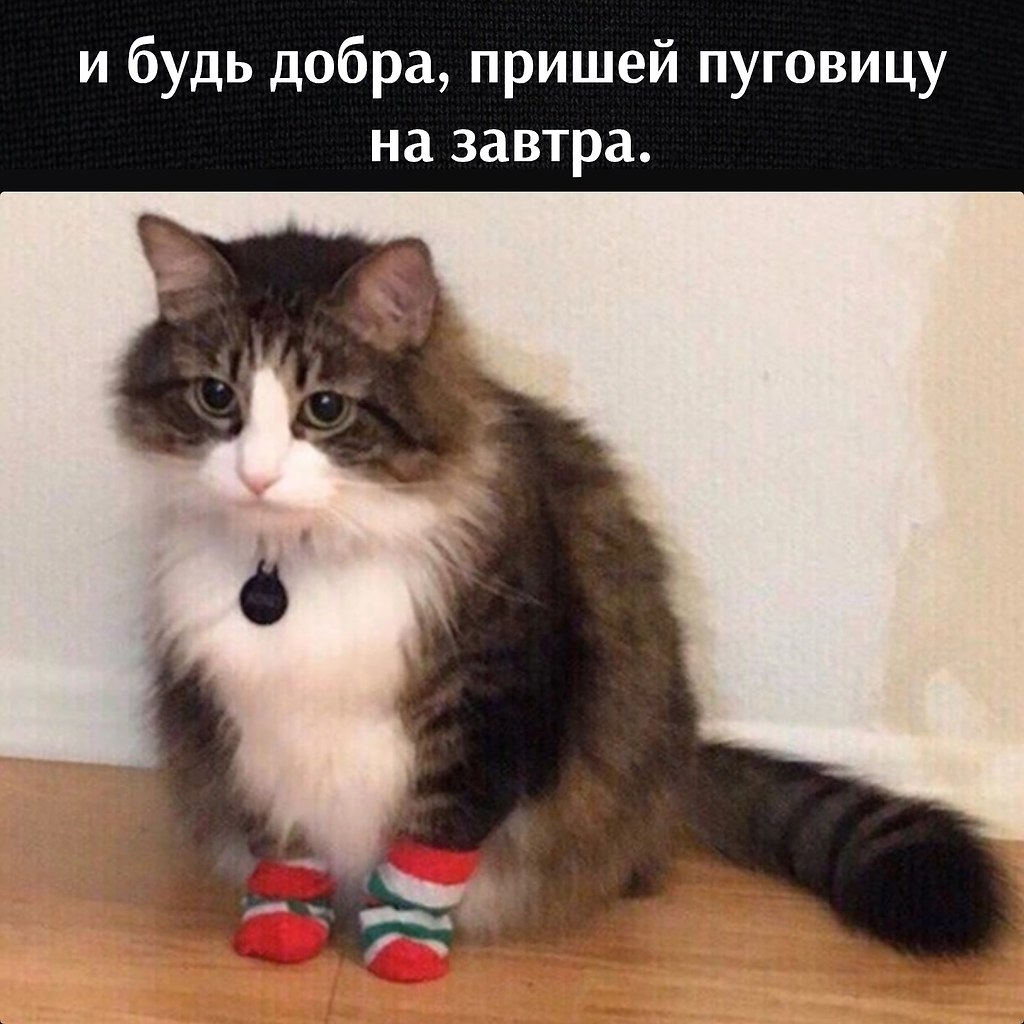       - 13  2023  12:34 - 2