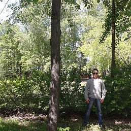 �����, ������, 62 ����