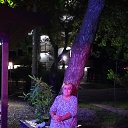 ���� �������, �������, 65 ��� - ��������� 12 ������� 2023 � ������ ���� ����������