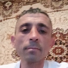 ����, �������, 40 ���