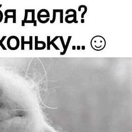 ������, ������, 55 ���