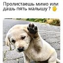 ���� ������, ������, 69 ��� - ��������� 28 ������ 2023 � ������ ���� ����������