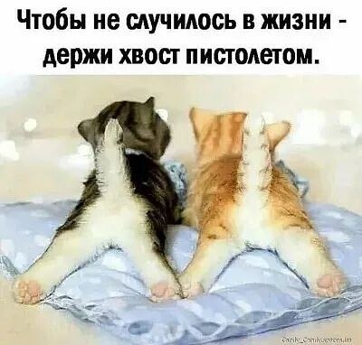 * * * * * * * * * * * * * * * * * * * *