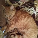 ���� ����, ���������, 54 ���� - ��������� 16 ������� 2023 � ������ ���� ����������