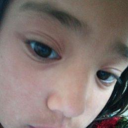 �����, ����, 26 ���