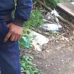 Shoxrux, ������, 34 ����