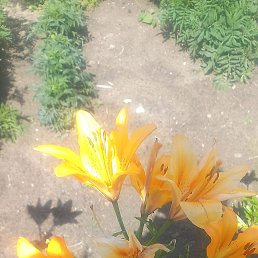 ���� �����, ������, 37 ��� - ��������� 21 ���� 2023