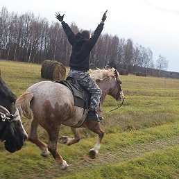 �������, ����, 37 ���