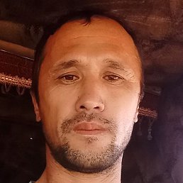 ��������, �������, 39 ���