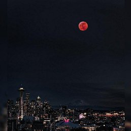 �����, �����-���������, 20 ���