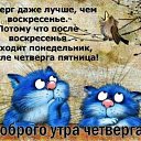���� �������, ������, 48 ��� - ��������� 29 ���� 2023 � ������ ������