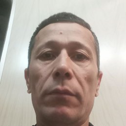 �����, ������, 48 ���