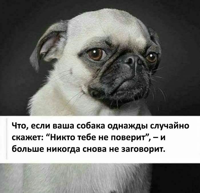 ��� �������� �������� - 26 ������� 2023 � 23:22