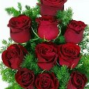 ���� �����, �����, 36 ��� - ��������� 20 ������� 2023